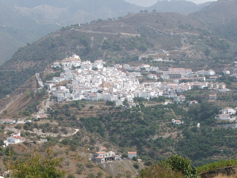 Cliquer pour voir l'image en taille réelle