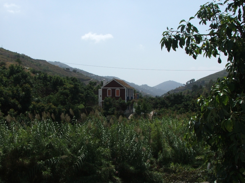 Cliquer pour voir l'image en taille réelle