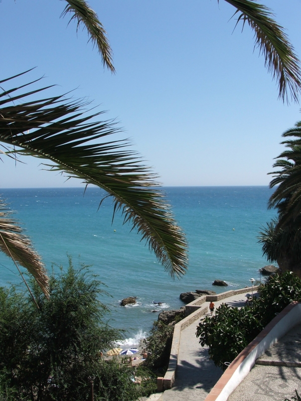 Cliquer pour voir l'image en taille réelle