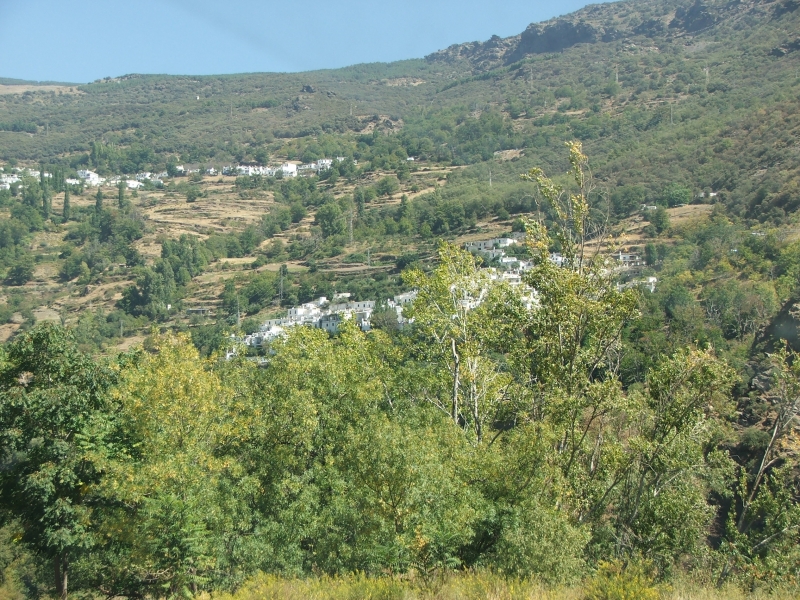 Cliquer pour voir l'image en taille réelle