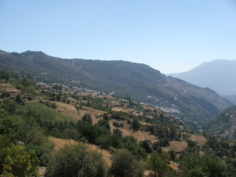 Cliquer pour voir l'image en taille réelle