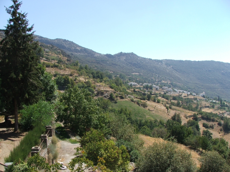 Cliquer pour voir l'image en taille réelle