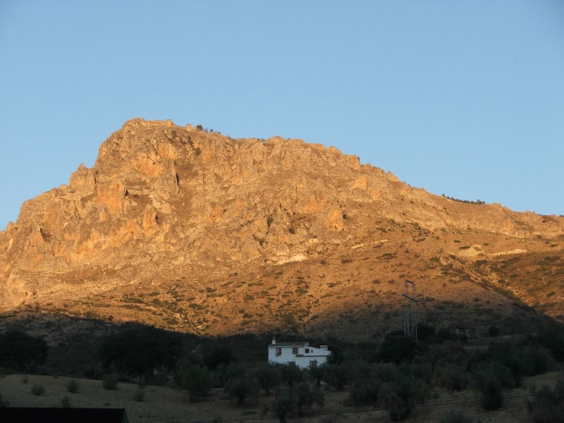 Cliquer pour voir l'image en taille réelle