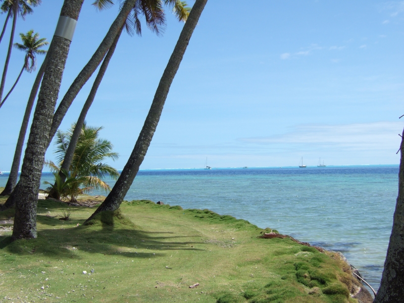 Cliquer pour voir l'image en taille réelle