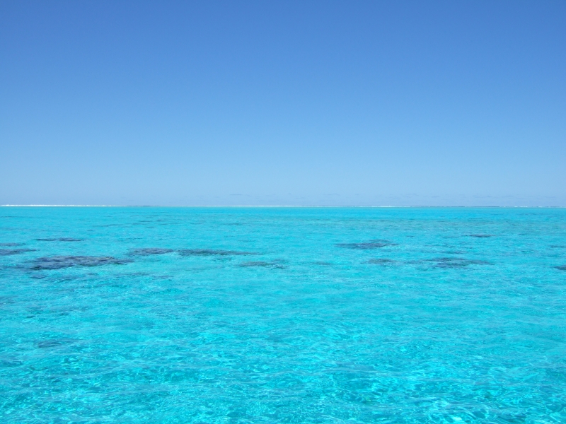 Cliquer pour voir l'image en taille réelle