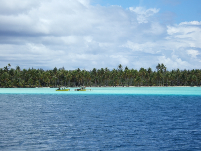 Cliquer pour voir l'image en taille réelle