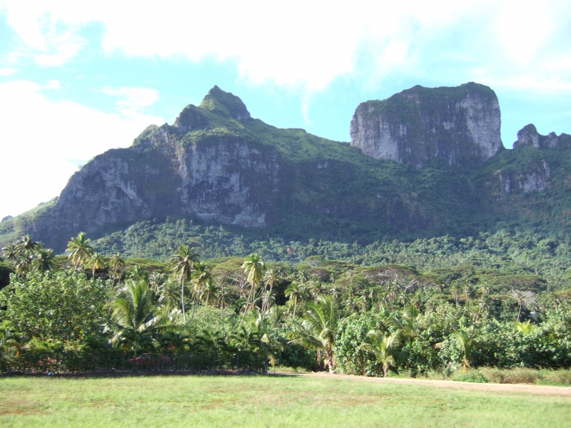 Cliquer pour voir l'image en taille réelle