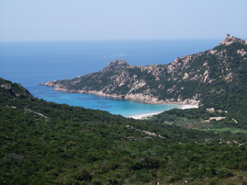 Cliquer pour voir l'image en taille réelle