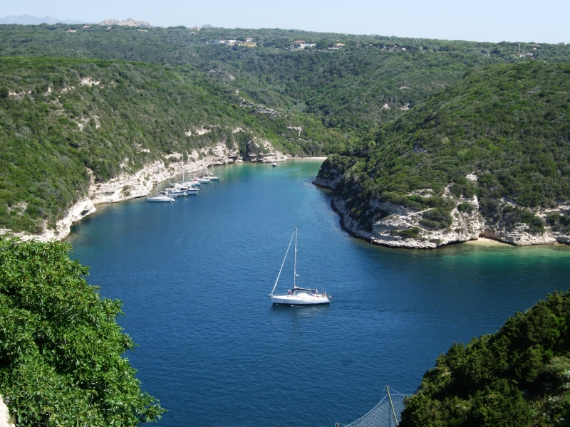 Cliquer pour voir l'image en taille réelle