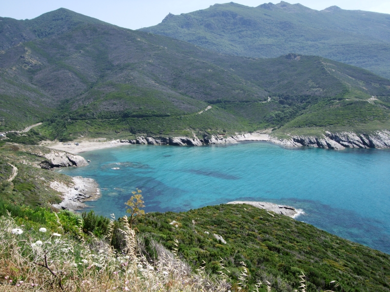 Cliquer pour voir l'image en taille réelle