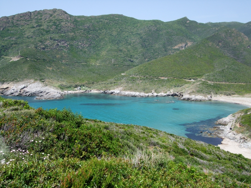 Cliquer pour voir l'image en taille réelle