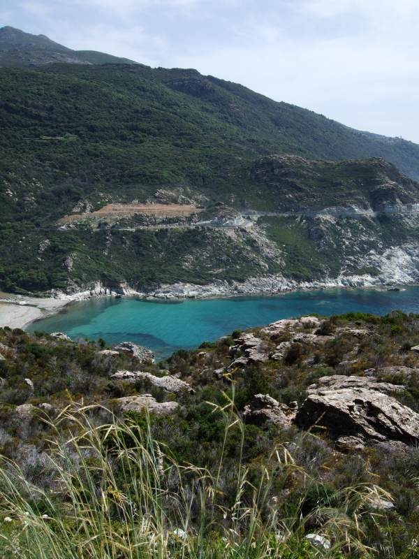 Cliquer pour voir l'image en taille réelle