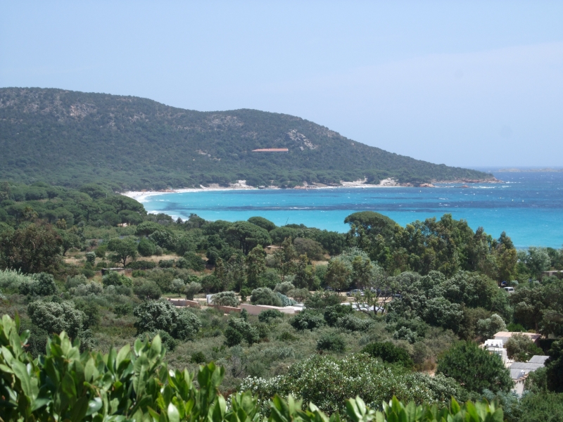 Cliquer pour voir l'image en taille réelle