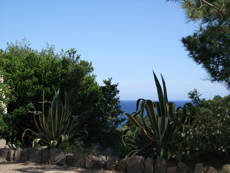 Cliquer pour voir l'image en taille réelle