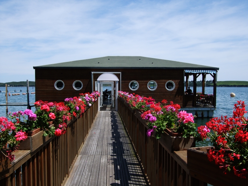 Cliquer pour voir l'image en taille réelle