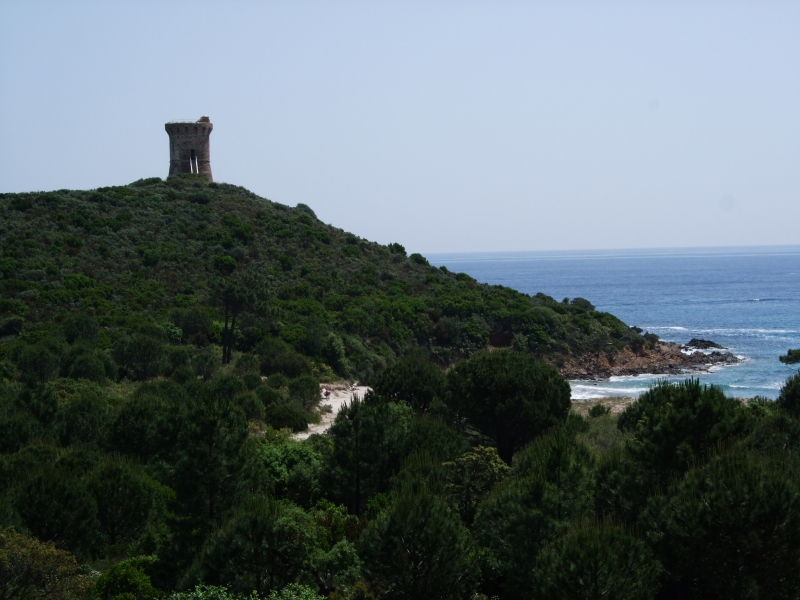 Cliquer pour voir l'image en taille réelle