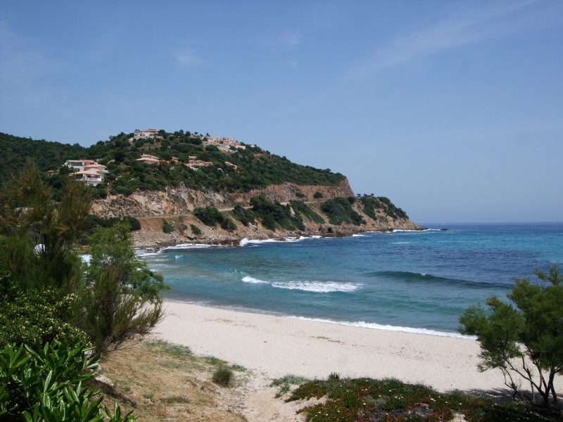 Cliquer pour voir l'image en taille réelle