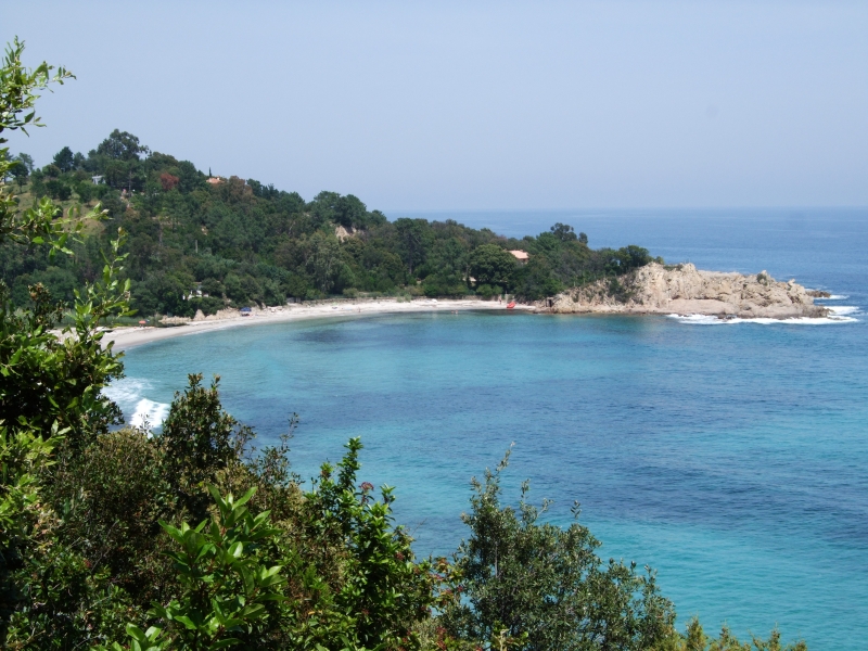 Cliquer pour voir l'image en taille réelle