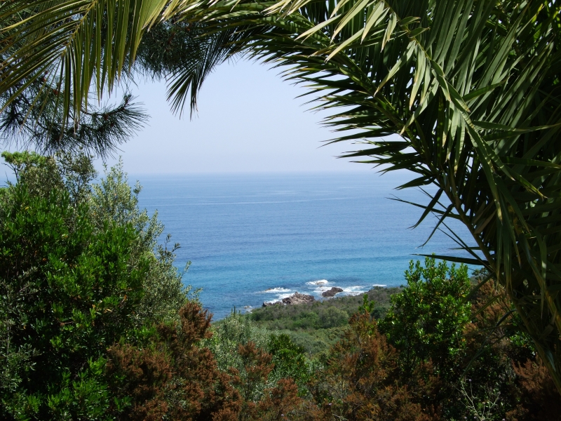 Cliquer pour voir l'image en taille réelle