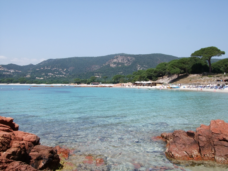 Cliquer pour voir l'image en taille réelle