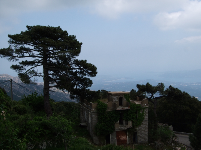 Cliquer pour voir l'image en taille réelle