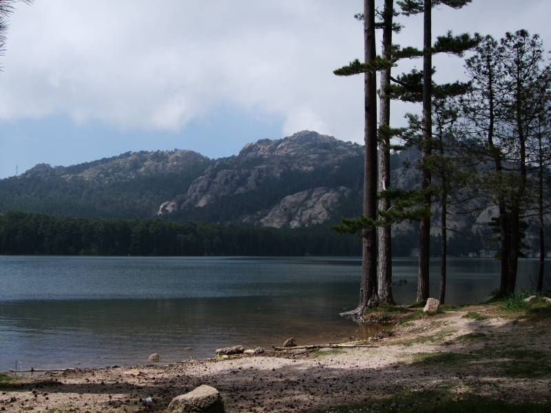 Cliquer pour voir l'image en taille réelle