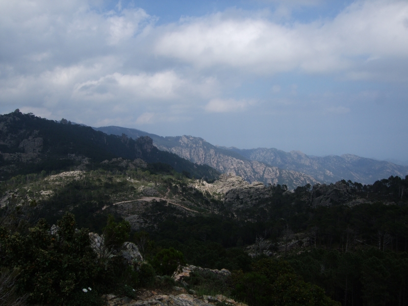 Cliquer pour voir l'image en taille réelle