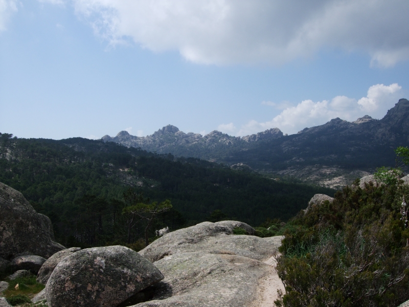 Cliquer pour voir l'image en taille réelle