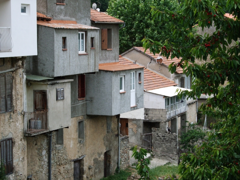 Cliquer pour voir l'image en taille réelle