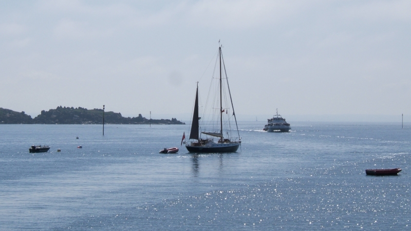 Cliquer pour voir l'image en taille réelle