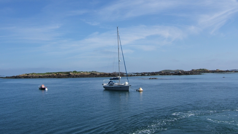 Cliquer pour voir l'image en taille réelle