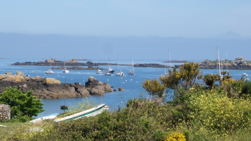 Cliquer pour voir l'image en taille réelle