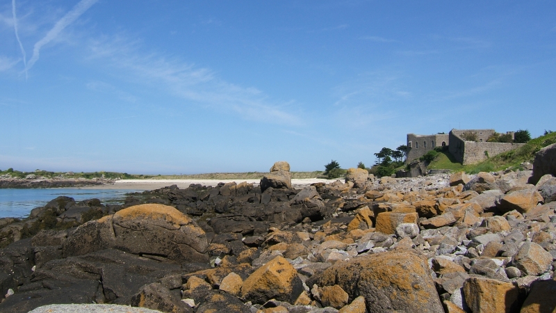 Cliquer pour voir l'image en taille réelle