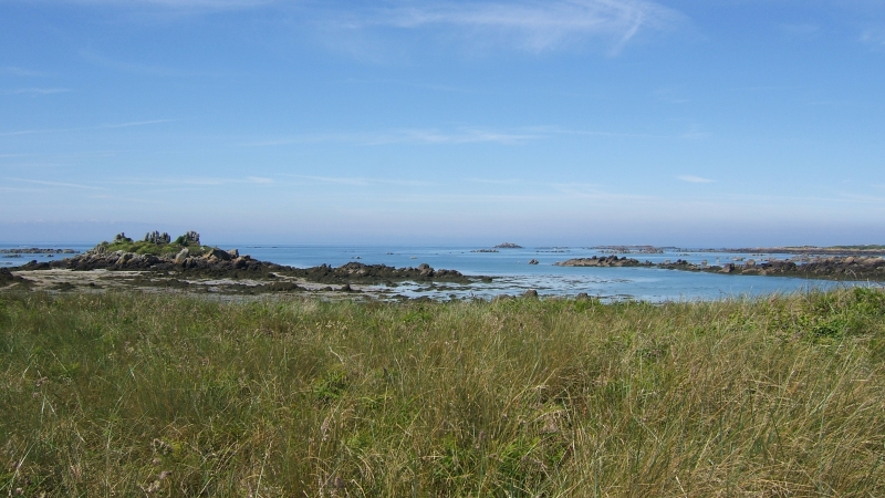 Cliquer pour voir l'image en taille réelle