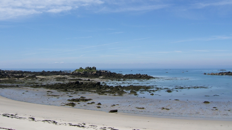 Cliquer pour voir l'image en taille réelle