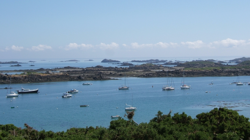 Cliquer pour voir l'image en taille réelle