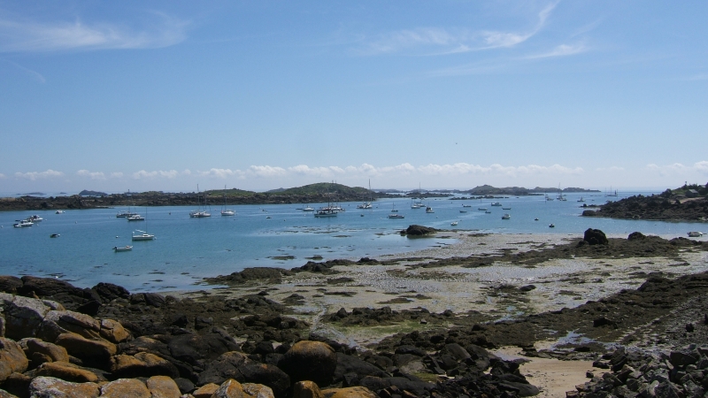 Cliquer pour voir l'image en taille réelle