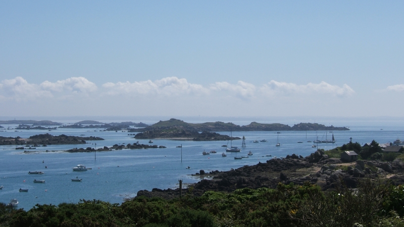 Cliquer pour voir l'image en taille réelle