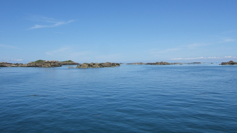 Cliquer pour voir l'image en taille réelle