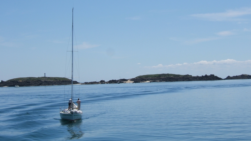 Cliquer pour voir l'image en taille réelle