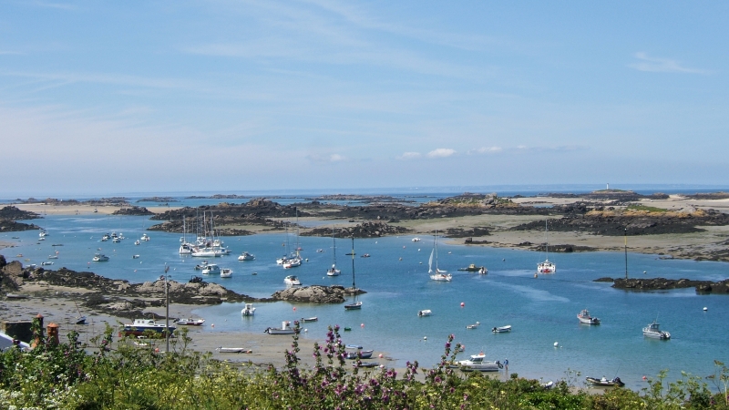 Cliquer pour voir l'image en taille réelle