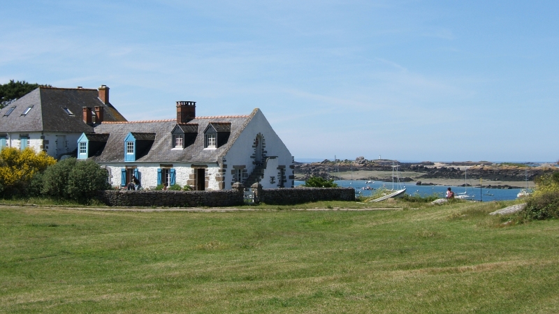 Cliquer pour voir l'image en taille réelle