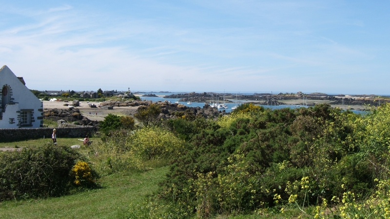 Cliquer pour voir l'image en taille réelle