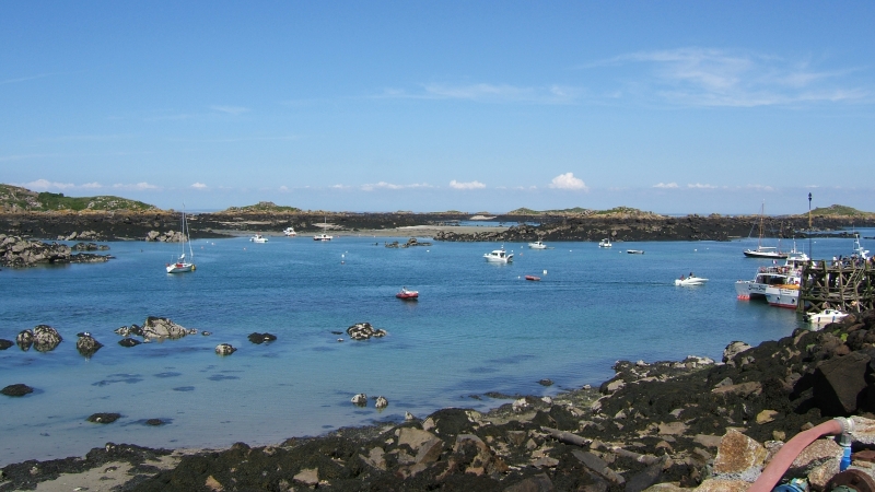 Cliquer pour voir l'image en taille réelle