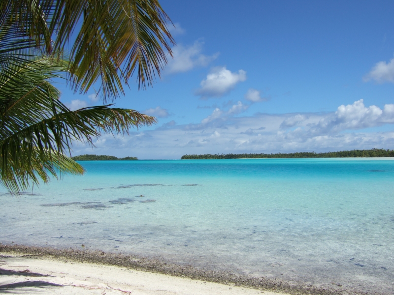 Cliquer pour voir l'image en taille réelle