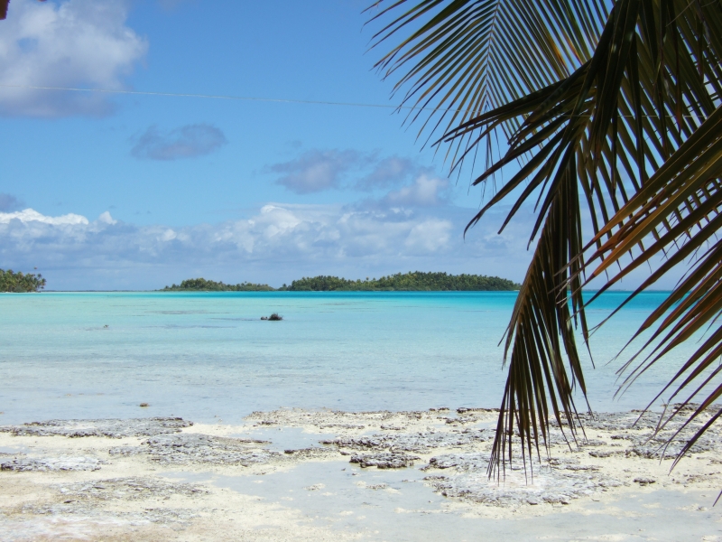 Cliquer pour voir l'image en taille réelle