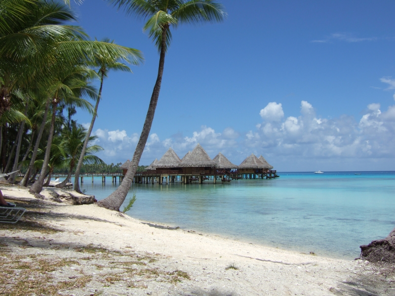 Cliquer pour voir l'image en taille réelle