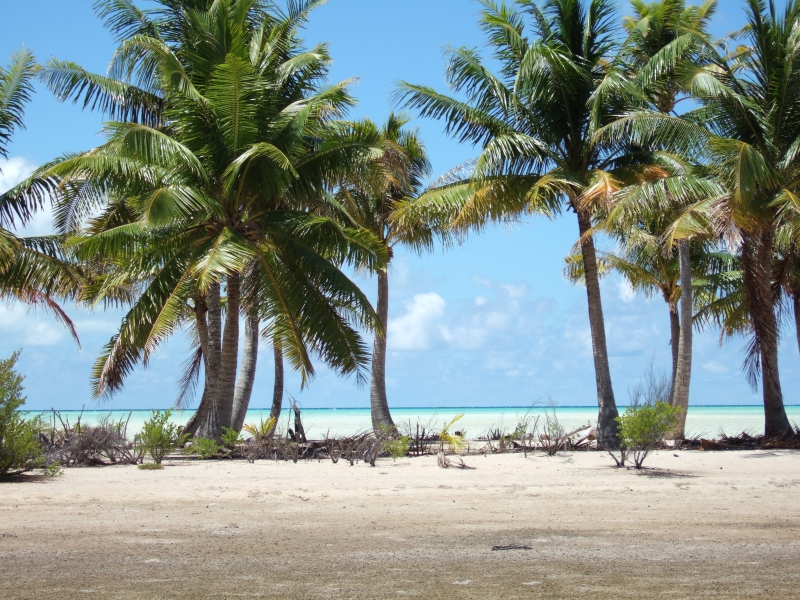 Cliquer pour voir l'image en taille réelle