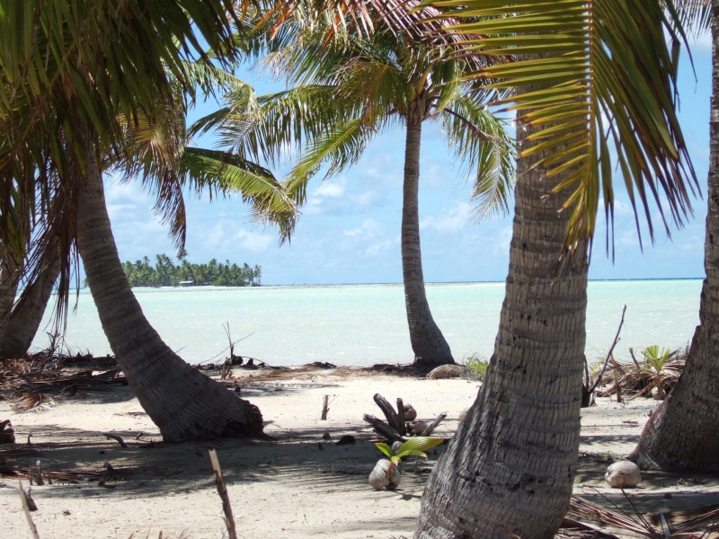 Cliquer pour voir l'image en taille réelle