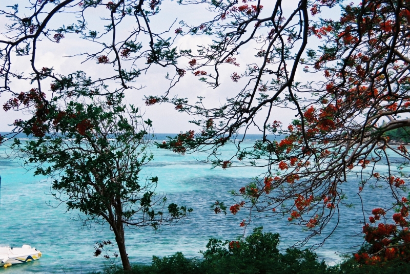 Cliquer pour voir l'image en taille réelle